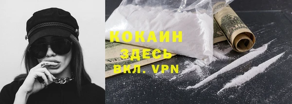прущий лед Дмитриев