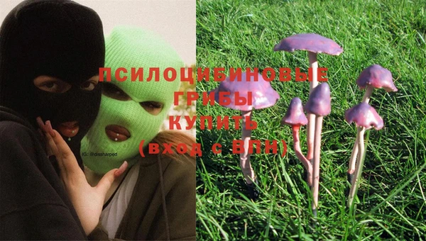 mdma Дмитров