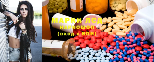 PSILOCYBIN Ельня