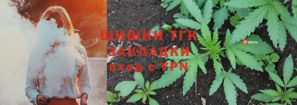 прущий лед Дмитриев
