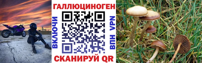 Купить закладки  Кирово-Чепецк  Галлюциногенные грибы мухоморы 