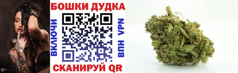 Бошки марихуана марихуана Кирово-Чепецк